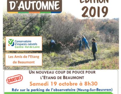 Chantier d’automne à l’étang de Beaumont