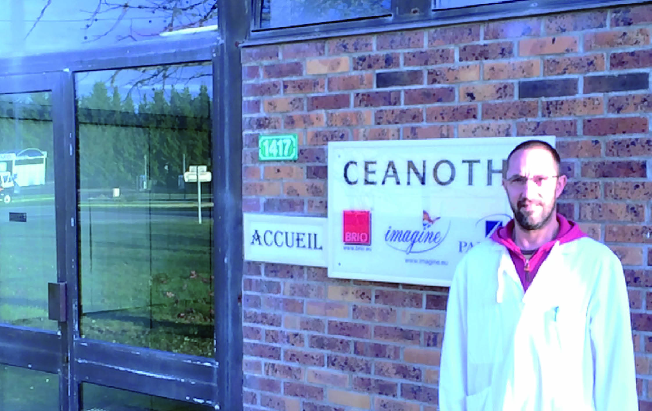 Céanothe Céanothe_neung-sur-beuvron_2015