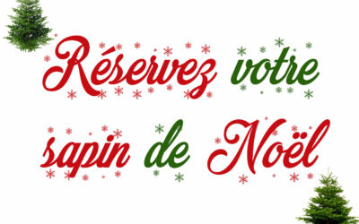 Sapin de Noël