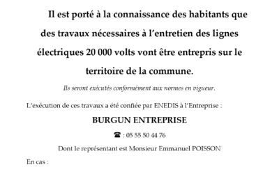 Travaux d’élagage